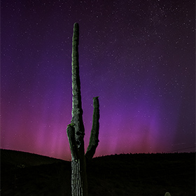 The Aurora Borealis dipped into Arizona to be photographed with a Saguaro Cactus at Lake Pleasant near Phoenix.